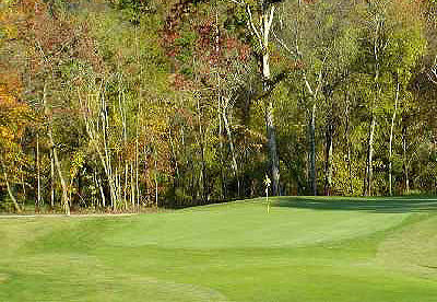 fort mill golf club scorecard